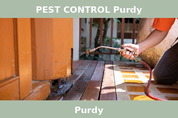PEST CONTROL Purdy